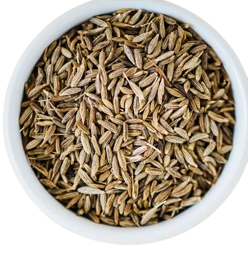 Daily Health Problems